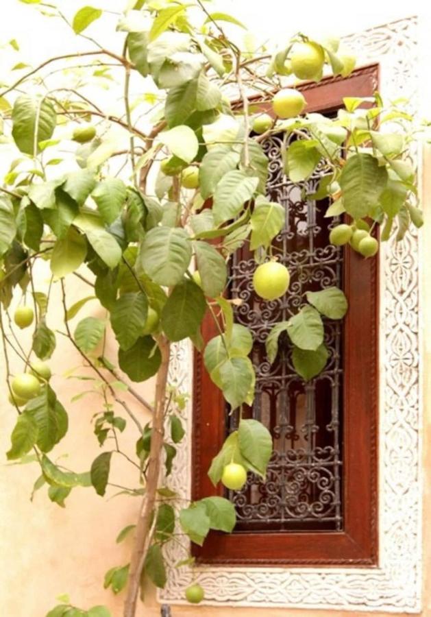 Riad Dar Rania Marrakech Medina Jemaa El Fna มาร์ราเกช ภายนอก รูปภาพ